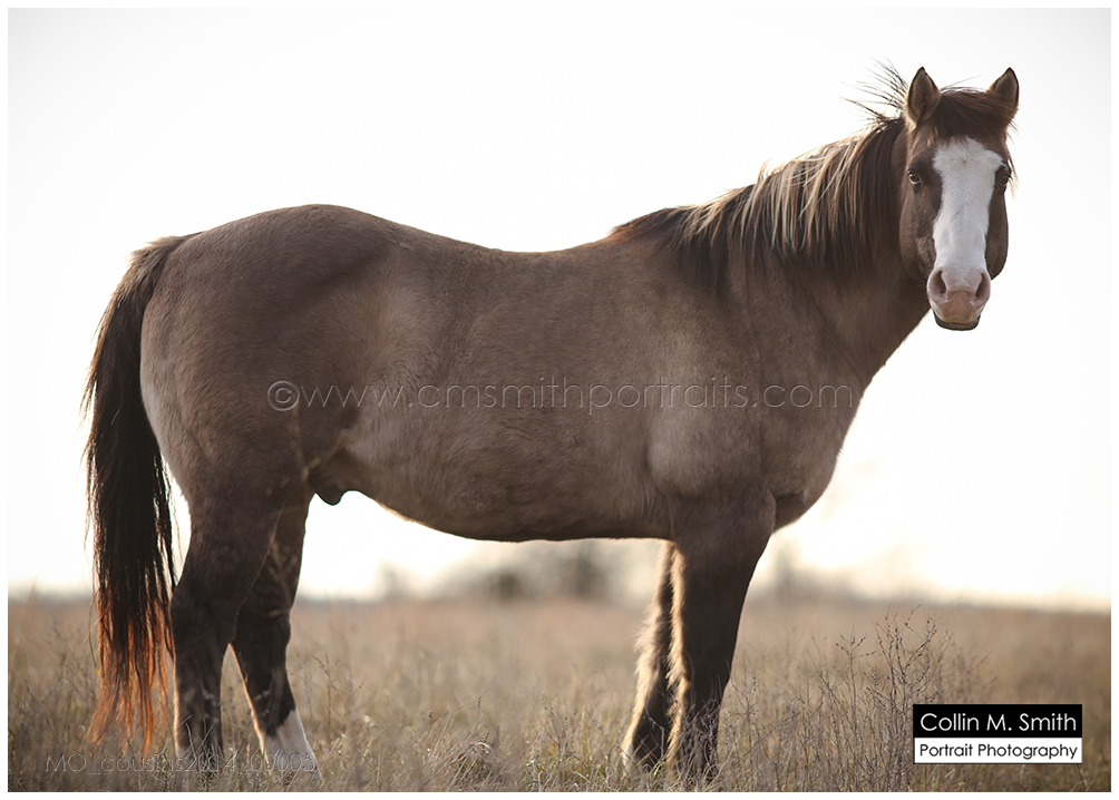 MO_cousins2014_00005FB